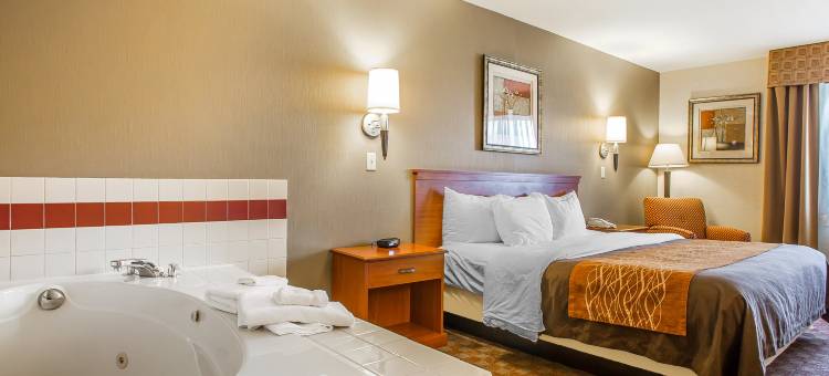 范沃特舒适酒店(Comfort Inn)图片