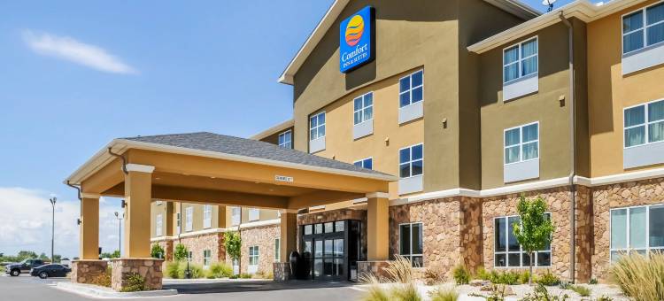 阿尔特西亚舒适酒店及套房(Comfort Inn &amp; Suites Artesia)图片