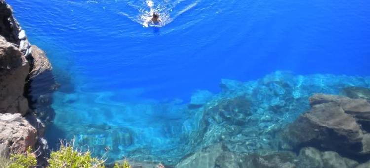 奥林匹克贝斯特韦斯特优质酒店(Best Western Plus Olympic Inn)图片