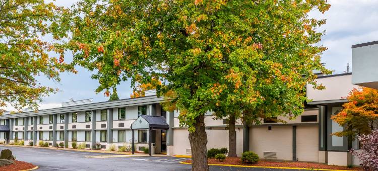 克拉丽奥酒店-贝尔弗农(Clarion Inn Belle Vernon)图片