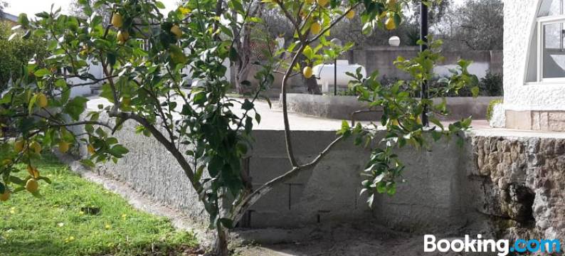 文迪I4住宿加早餐旅馆(B&B I 4 Venti)图片