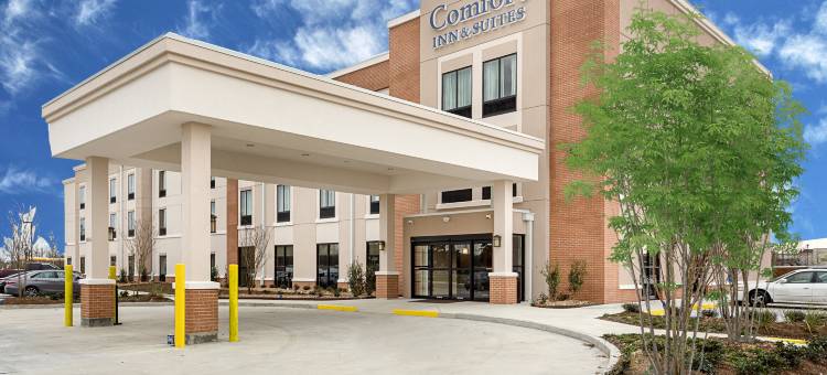 舒适套房酒店(Comfort Inn & Suites Zachary)图片