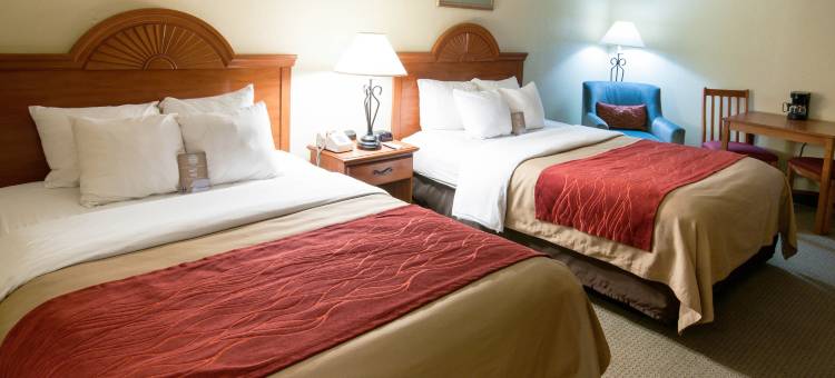 舒适酒店客栈松树林I-81赫尔希地区(Comfort Inn Pine Grove I-81 Hershey Area)图片