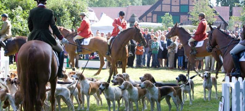 巴斯托尔斯特加特酒店(Gut Basthorst)图片
