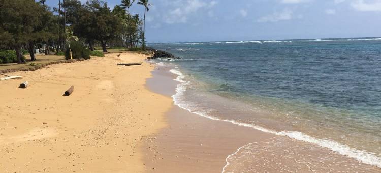 珊瑚礁酒店(Hotel Coral Reef)图片