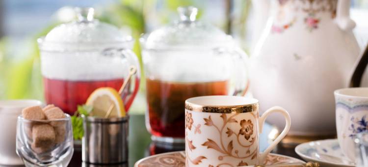 旧轻井泽大酒店(Le Grand Kyu Karuizawa)图片