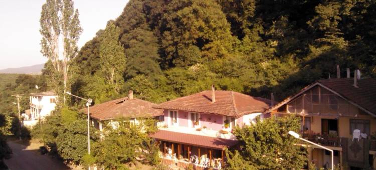阿齐姆温泉酒店(Azim Thermal Hotel)图片