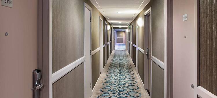 布莱顿莱昂纳多酒店 - 原茱莉斯旅店(Leonardo Hotel Brighton)图片