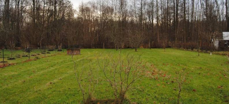 Tiigi Holiday Homes图片