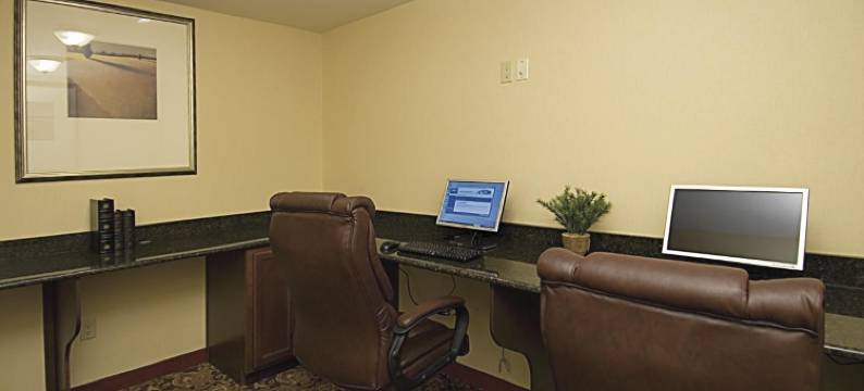 克雷斯特维尤丽怡酒店(Country Inn & Suites by Radisson, Crestview, FL)图片