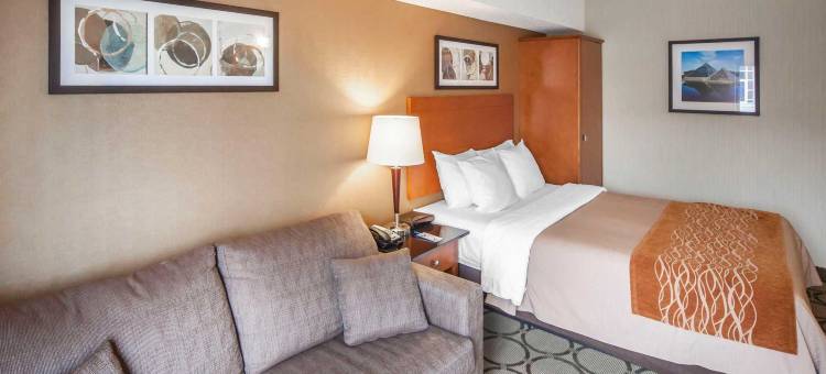 西埃德蒙顿舒适酒店(Comfort Inn West)图片