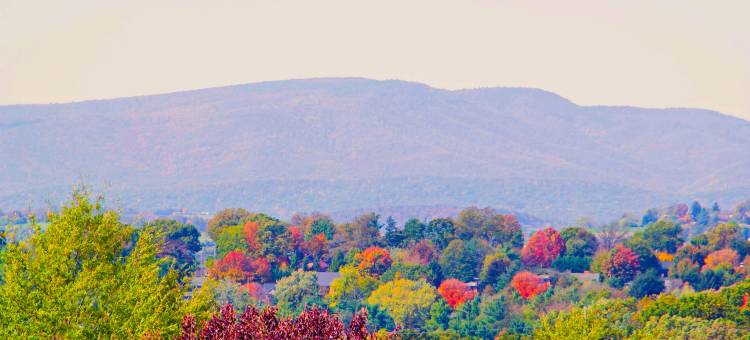 哈利森近大学舒眠套房酒店(Sleep Inn & Suites Harrisonburg Near University)图片