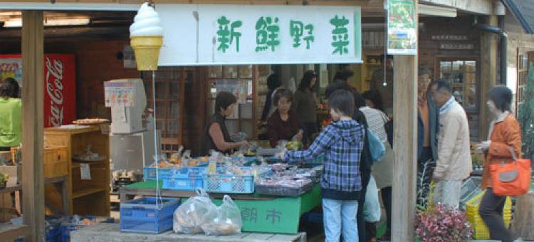 高槻森林观光中心 槻之乡庄(Takatsuki Shinrin Kanko Center Tsukinosatoso)图片