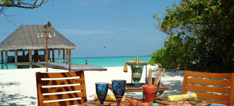 可可棕榈杜尼克鲁酒店(Coco Palm Dhuni Kolhu)图片