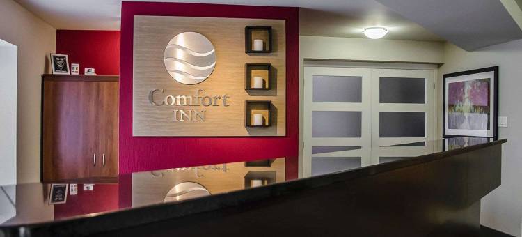 舒适酒店-南岸(Comfort Inn South Shore)图片