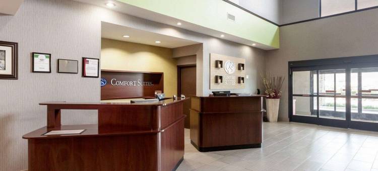 格林维尔舒适套房酒店(Comfort Suites Greenville)图片