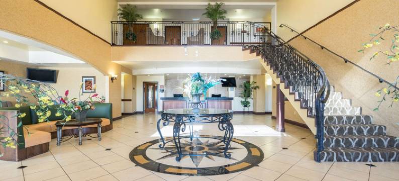 舒适套房(Comfort Inn & Suites)图片