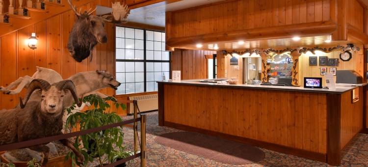 舞台教练旅馆(Stage Coach Inn)图片