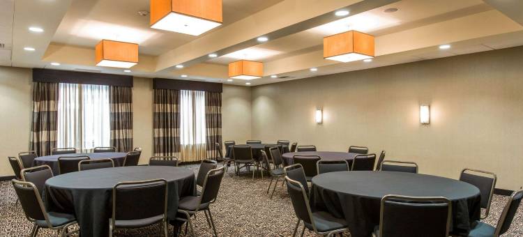 拉皮德城坎布里亚酒店-靠近拉什莫尔山(Cambria Hotel Rapid City Near Mount Rushmore)图片