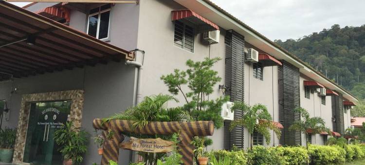 兰卡威吾森林酒店(My Forest Hotel Langkawi)图片