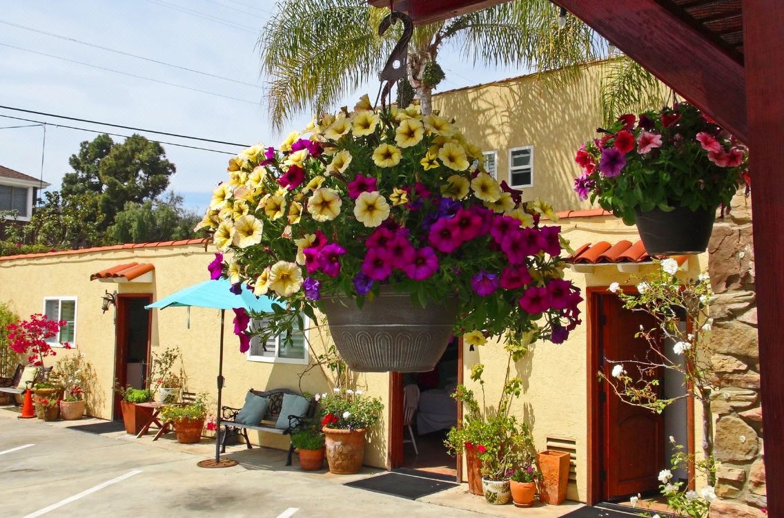 Promo [60% Off] Leucadia Beach Inn United States | Aria Hotel Zip Code