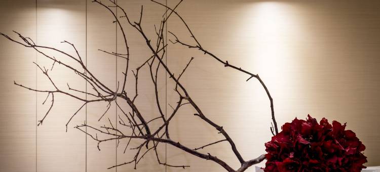 台北薇米商旅图片