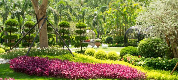 凱撒趣淘漫旅-台南图片