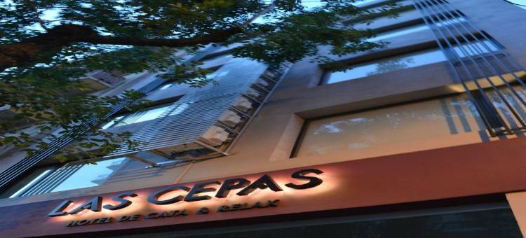 拉斯帕休息站(Las Cepas Hotel de Cata y Relax)图片