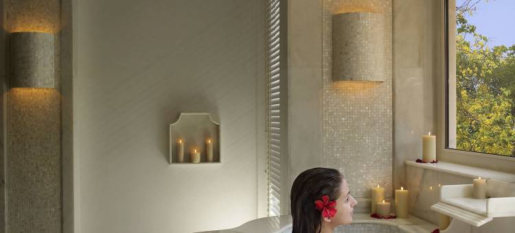 ITC 穆哥哈酒店-豪华精选度假村及水疗中心(ITC Mughal, a Luxury Collection Resort & Spa, Agra)图片