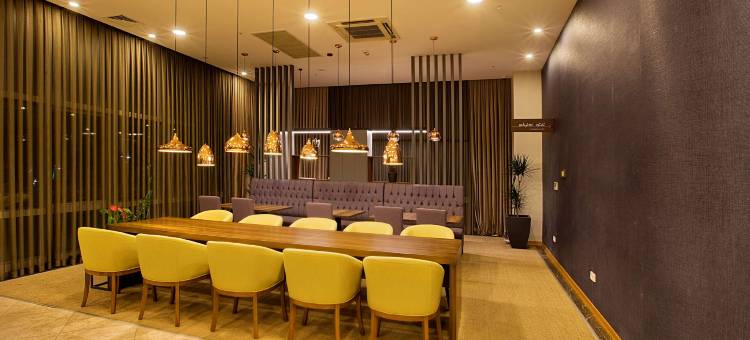 希尔顿花园旅馆-科贾埃利瑟克尔皮纳(Hilton Garden Inn Kocaeli Sekerpinar)图片