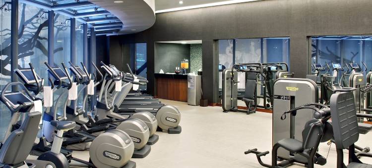 墨西哥城圣达菲JW万豪酒店(JW Marriott Hotel Mexico City Santa Fe)图片