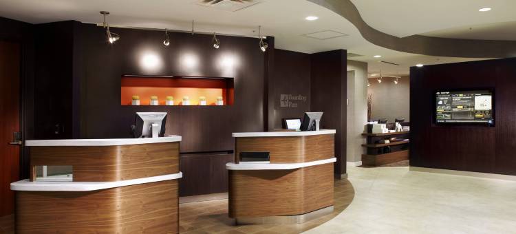 帕奥尔兹马万怡酒店(Courtyard Tampa Oldsmar)图片