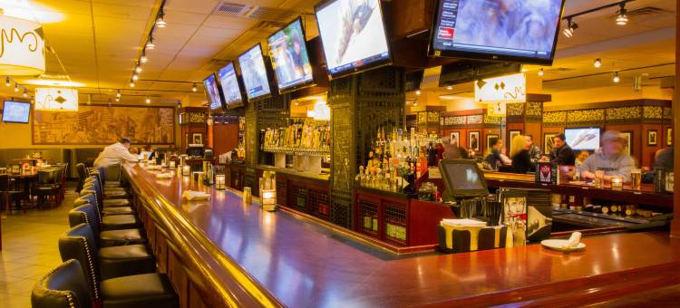 芝加哥奥黑尔区假日酒店(Holiday Inn Chicago O'Hare Area)图片