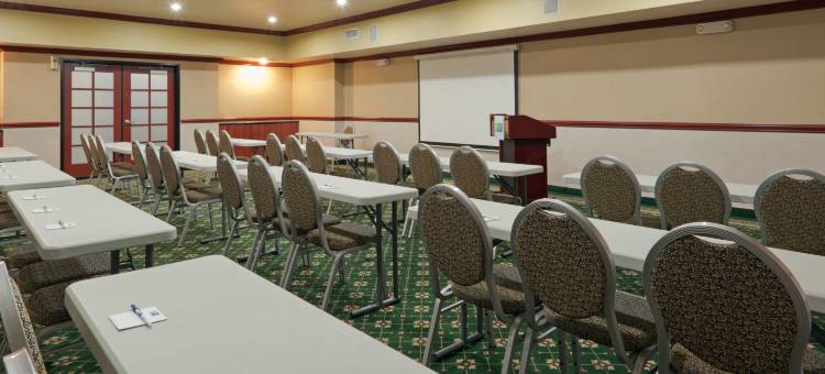 智选假日套房酒店贝克斯菲尔德中央(Holiday Inn Express & Suites Bakersfield Central)图片