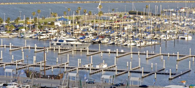 科珀斯克里斯蒂欧姆尼酒店(Omni Corpus Christi Hotel)图片