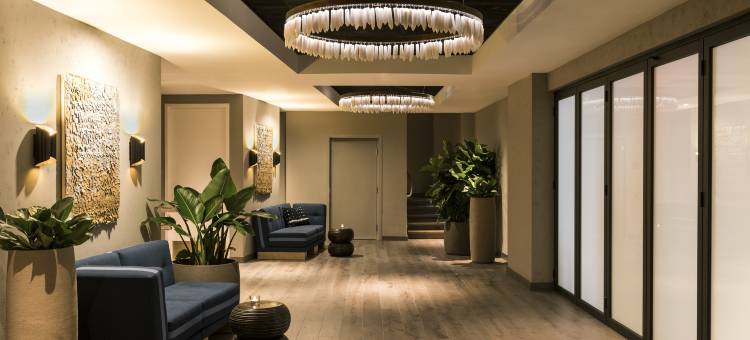 迈阿密南海滩金普顿安格勒酒店(Kimpton Angler's Hotel South Beach)图片