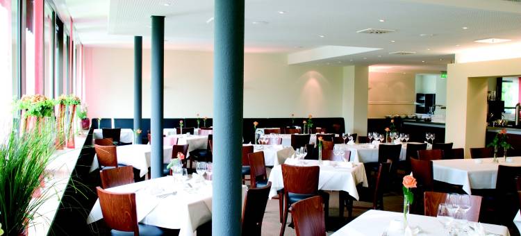 阿尔高旺根主法酒店(JUFA Hotel Wangen im Allgäu)图片