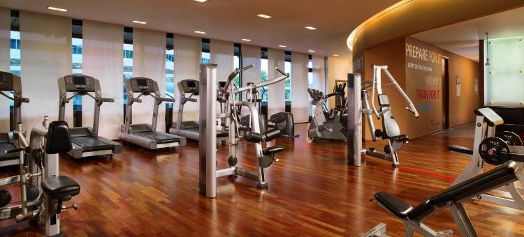法兰克福机场喜来登酒店及会议中心(Sheraton Frankfurt Airport Hotel & Conference Center)图片