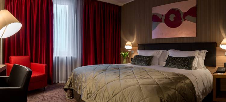 新西伯利亚多米纳酒店(Domina Hotel Novosibirsk)图片