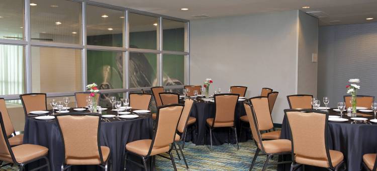 芝加哥奥黑尔万豪SpringHill套房酒店(SpringHill Suites Chicago O'Hare)图片