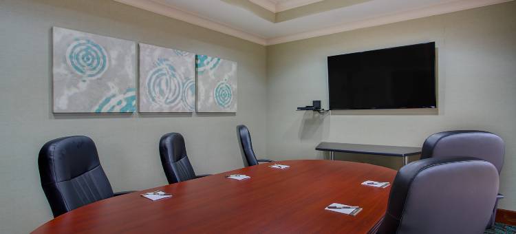 查塔努加市中心/会议中心Staybridge Suites酒店(Staybridge Suites Chattanooga Dwtn - Conv Ctnr)图片