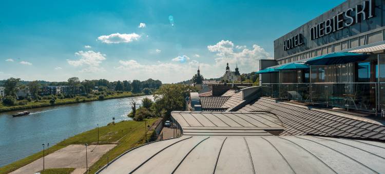 蓝色艺术水疗酒店(Niebieski Art Hotel & Spa)图片