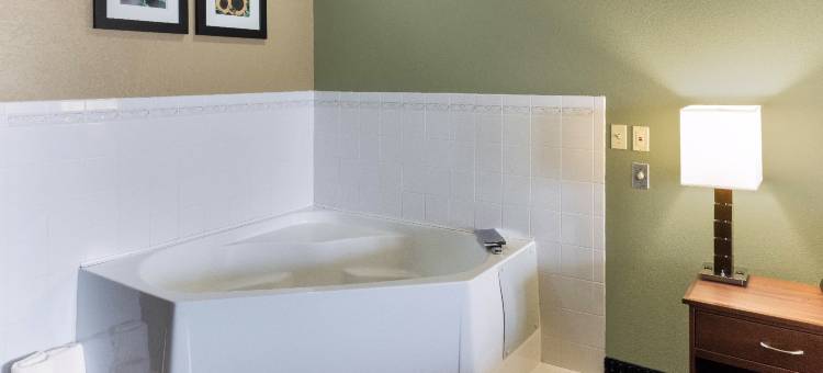 阿尔伯特利舒适酒店(位于步道旅行中心)(Comfort Inn Albert Lea at Trails Travel Center)图片