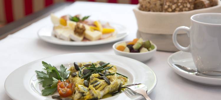 维也纳和谐酒店，贝斯特韦斯特至尊精选(The Harmonie Vienna, BW Premier Collection)图片