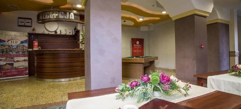 穆什纳酒店(Hotel Muszyna)图片