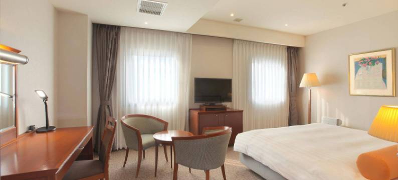 小田急站厚木酒店(Odakyu Station Hotel Hon-Atsugi)图片