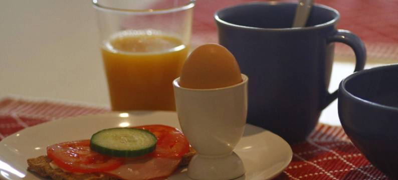 豪币克洛克住宿加早餐酒店(Hobykrok B&B)图片