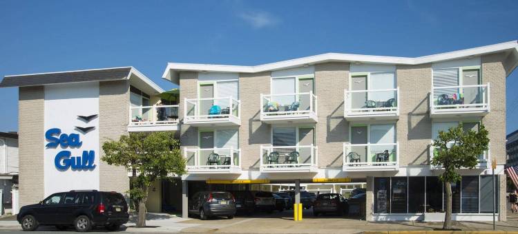 海鸥汽车旅馆(Sea Gull Motel)图片