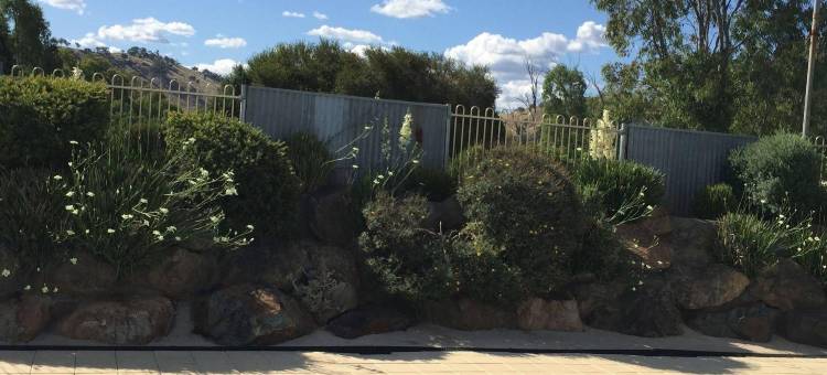 塔克巴斯汽车旅馆(Tuckerbox Motor Inn)图片