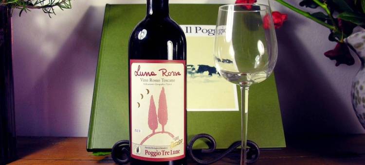 波焦札卢娜别墅(Villa Poggio Tre Lune)图片